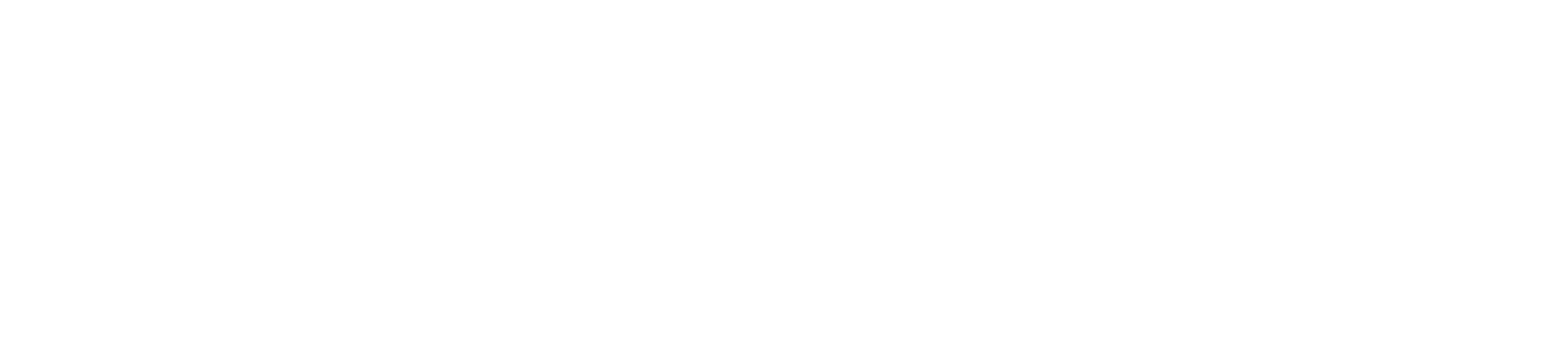 Thunder White Logo